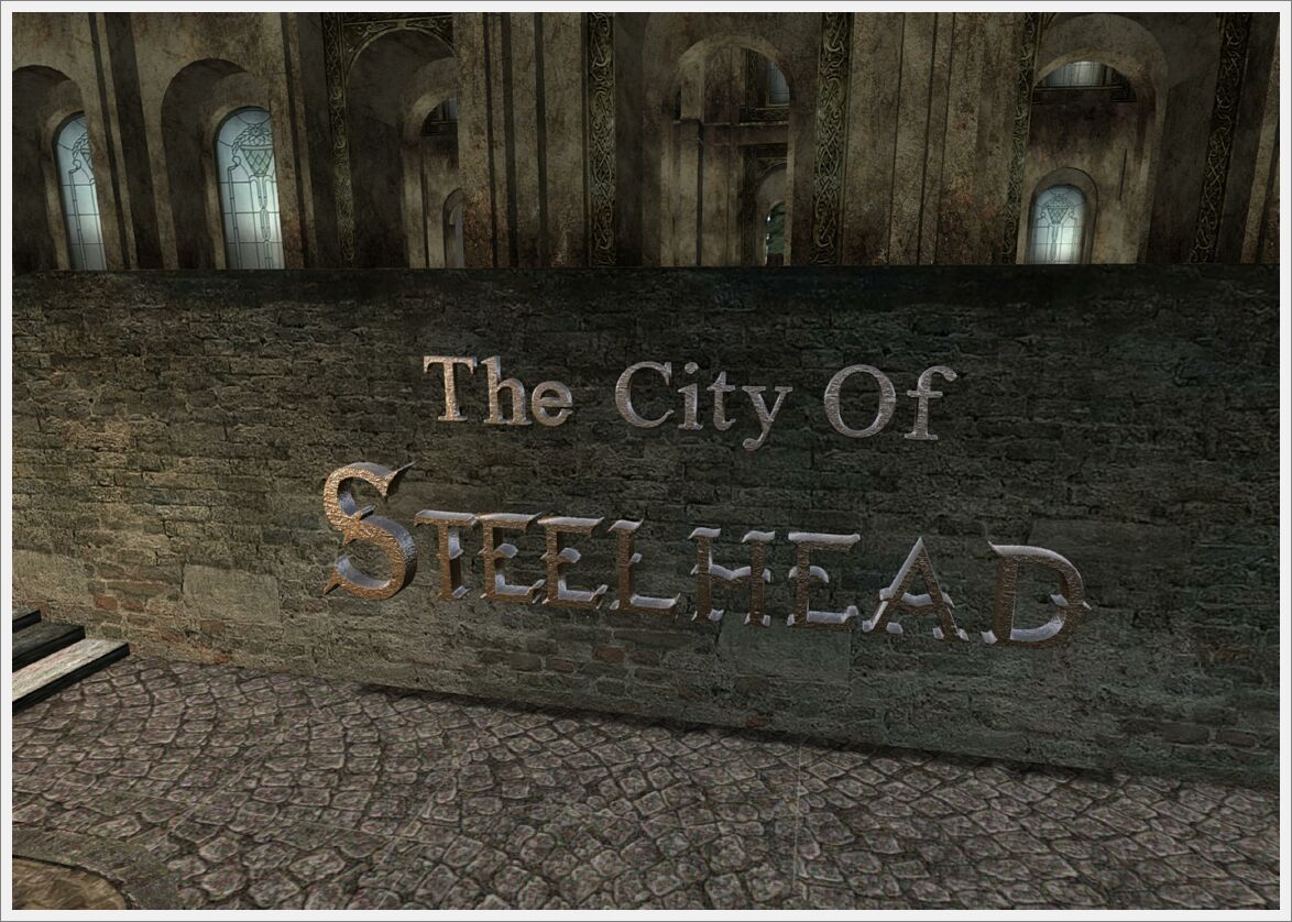 Steel real (9)